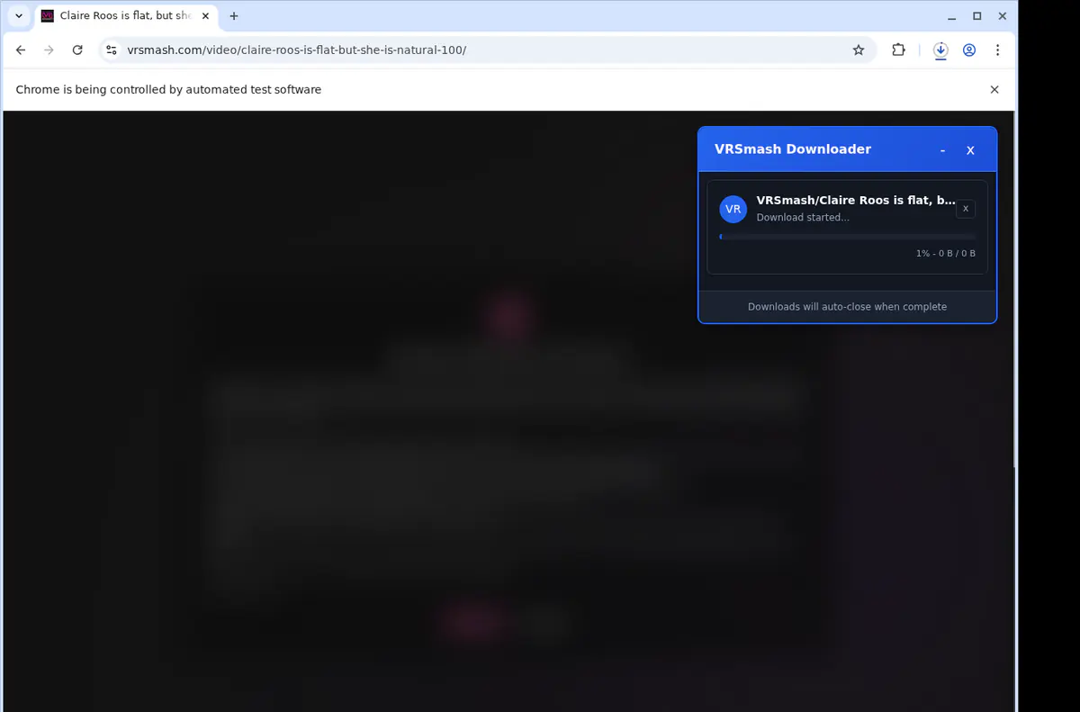 Vrsmash Video Downloader screenshot 2