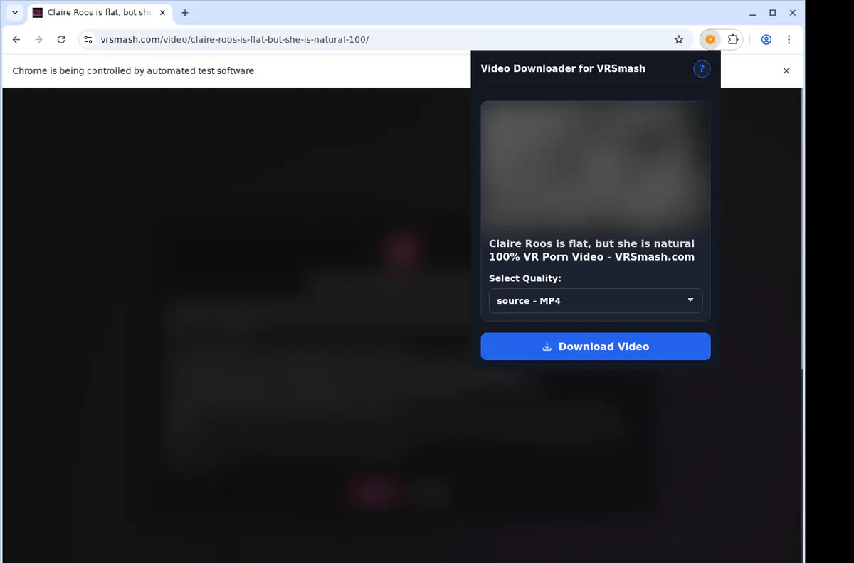 Vrsmash Video Downloader screenshot 3